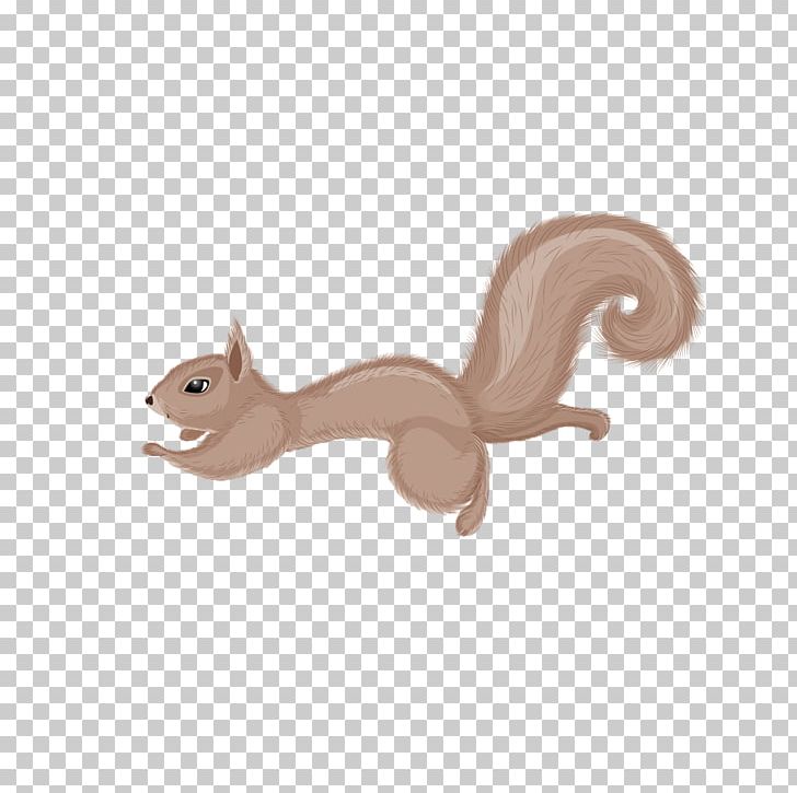 Chipmunk Squirrel PNG, Clipart, Adobe Illustrator, Animals, Beige, Big Tail, Cartoon Free PNG Download