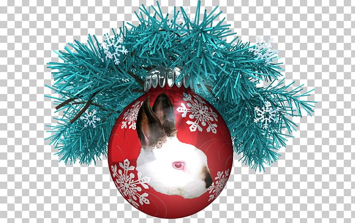 Christmas Ornament A Pawsome Day YouTube Boxing Day PNG, Clipart,  Free PNG Download