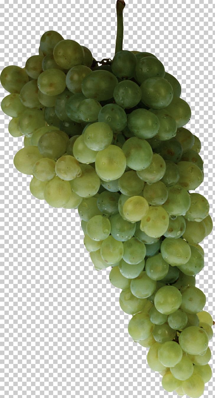 Grape PNG, Clipart, Grape Free PNG Download