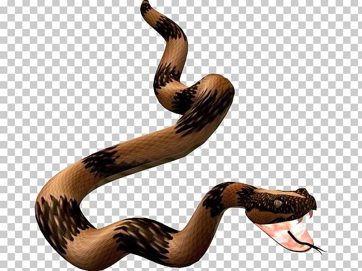 Snake Reptile Boa Constrictor Animal PNG, Clipart, Animal, Animals, Anime, Blog, Boa Constrictor Free PNG Download