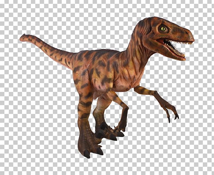 Velociraptor Allosaurus Dinosaur Animal Tyrannosaurus Rex PNG, Clipart,  Free PNG Download
