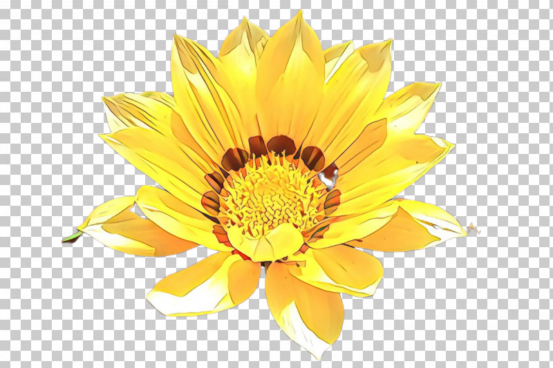 Sunflower PNG, Clipart, Flower, Gazania, Petal, Plant, Pollen Free PNG Download