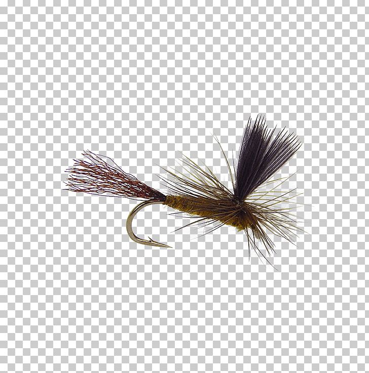 Artificial Fly Precision Fly Fishing PNG, Clipart, Artificial Fly, Crane Fly, Dry Fly Fishing, Fishing, Fly Free PNG Download