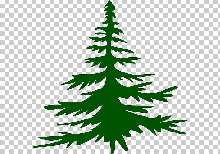 Christmas Tree Spruce Fir Pine Twig PNG, Clipart, Black And White, Branch, Christmas, Christmas Decoration, Christmas Ornament Free PNG Download