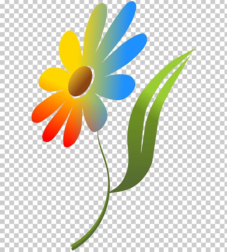 Color Flower Computer Icons PNG, Clipart, Animation, Color, Computer Icons, Daisy, Daisy Family Free PNG Download