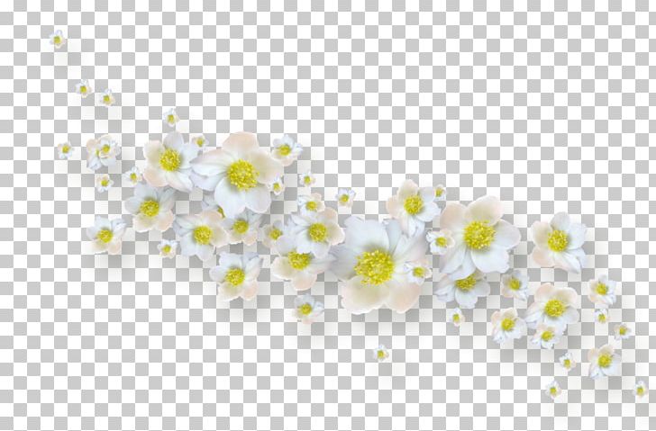 Flower Garden Petal Common Lilac PNG, Clipart, Arka Fon, Blossom, Branch, Common Lilac, Computer Free PNG Download
