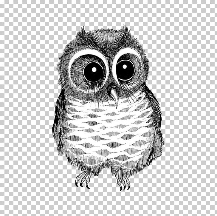 Owl Drawing Bird Black And White Photography PNG, Clipart, Abstract Lines, Animal, Animals, Beak, Big Free PNG Download