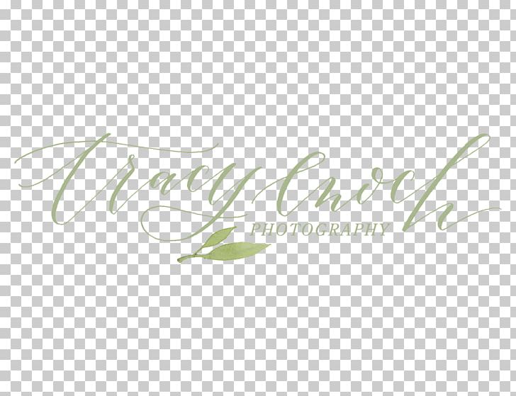 Tracy Enoch Photography Text Wedding Photography Photographer PNG, Clipart, Brand, Bride, Calligraphy, Engagement, Fine Art Free PNG Download