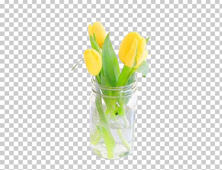 Tulip Flower Floral Design PNG, Clipart, Cut Flowers, Designer, Encapsulated Postscript, Floral Design, Flower Free PNG Download