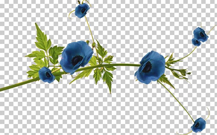 Blue Flower Portable Network Graphics Floral Design PNG, Clipart, Anemone, Blue, Branch, Color, Encapsulated Postscript Free PNG Download