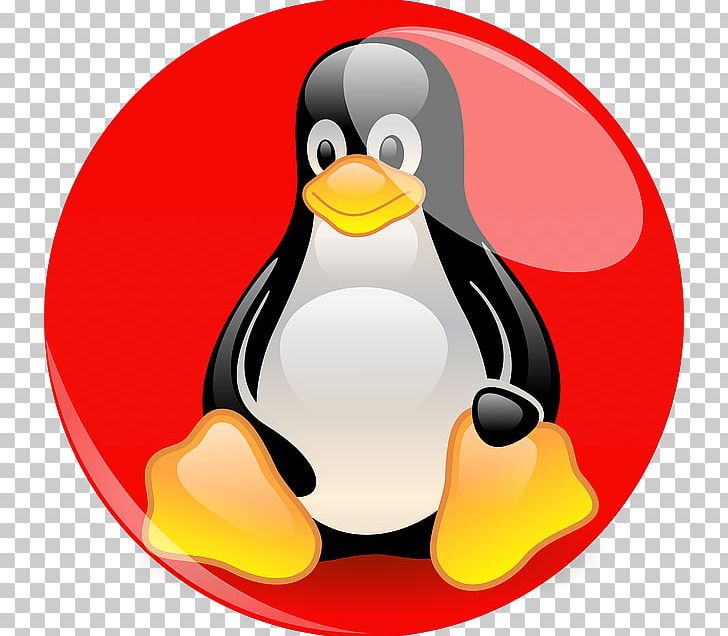 Linux Foundation Penguin Linux Kernel Linux Distribution PNG, Clipart, Beak, Bird, Debian, Flightless Bird, Lightweight Linux Distribution Free PNG Download