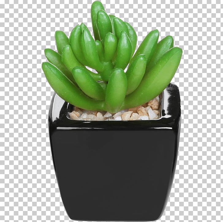 Succulent Plant Flowerpot Artificial Flower Home PNG, Clipart, Amazoncom, Artificial Flower, Bedroom, Cactaceae, Cactus Free PNG Download