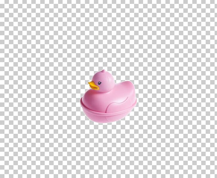 Water Bird Goose Cygnini Duck PNG, Clipart, Anatidae, Bathroom, Bathroom Soap Dish, Beak, Bird Free PNG Download