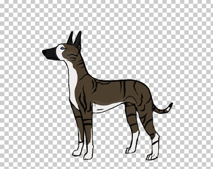 Dog Breed Italian Greyhound Whippet Cat PNG, Clipart, 08626, Animals, Animated  Cartoon, Breed, Carnivoran Free PNG