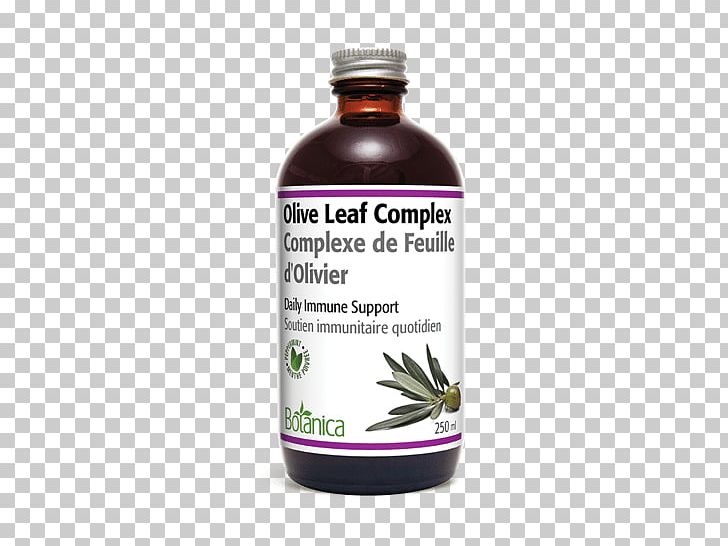 Olive Leaf Herb Extract Health PNG, Clipart, Antioxidant, Botanica, Extract, Food, Glutenfree Diet Free PNG Download