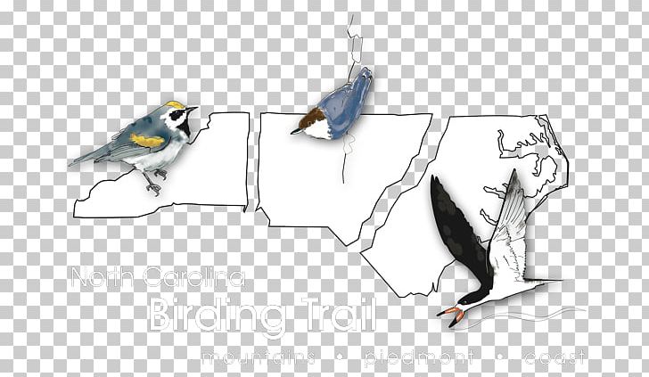 Birdwatching The North Carolina Birding Trail: Mountain Trail Guide Beak PNG, Clipart,  Free PNG Download