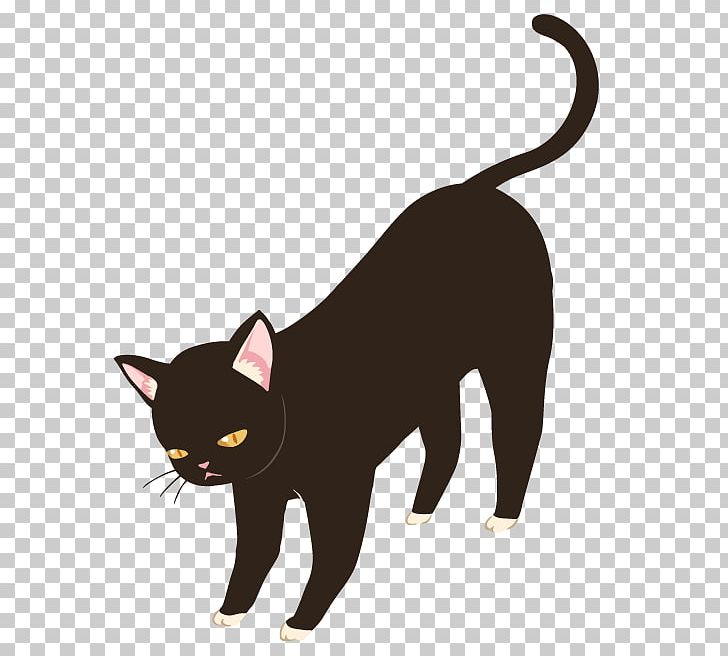 Black Cat 地域猫 Photography PNG, Clipart, Animals, Black, Black Cat, Burmese, Carnivoran Free PNG Download