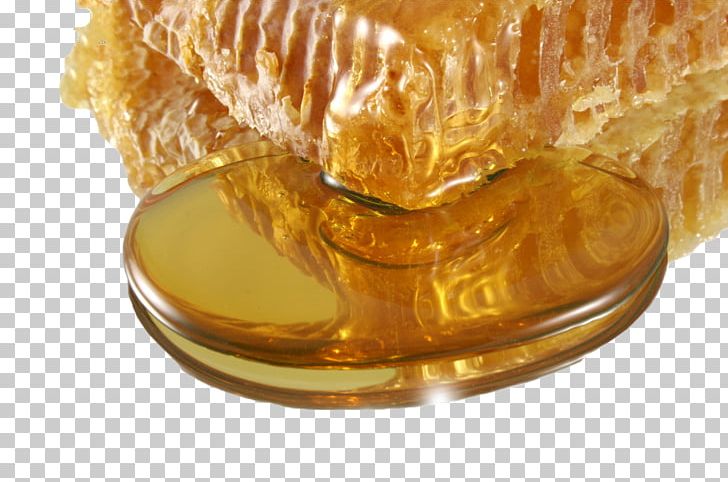 Honey Bee Honey Bee Mu0101nuka Honey Manuka PNG, Clipart, Apiary, Bee, Beehive, Beekeeper, Beekeeping Free PNG Download
