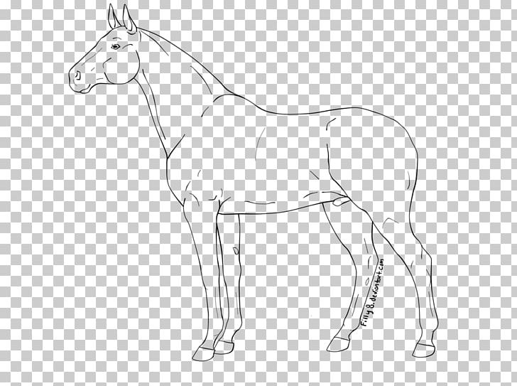 Line Art Stallion Mule Drawing PNG, Clipart, Animal Figure, Art, Artist, Artwork, Black And White Free PNG Download