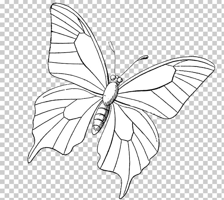Monarch Butterfly Mandala Drawing Line Art PNG, Clipart, Area, Art, Artwork, Black And White, Brush Footed Butterfly Free PNG Download