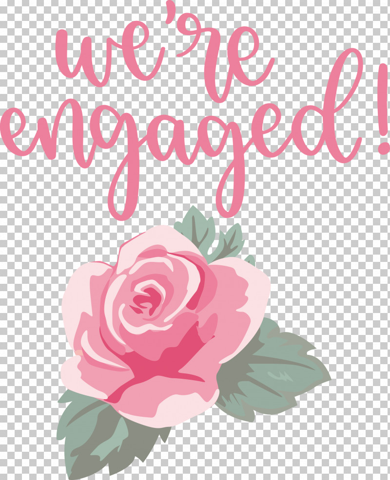 We Are Engaged Love PNG, Clipart, Cabbage Rose, Cut Flowers, Floral Design, Flower, Garden Free PNG Download