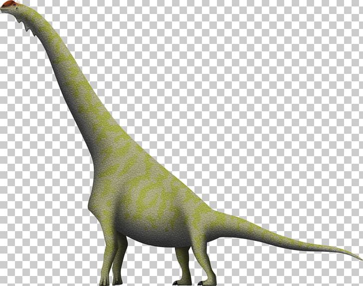 Brachiosaurus Diplodocus Giraffatitan Dinosaur Dry Mesa Quarry PNG, Clipart, Amphicoelias, Animal Figure, Art, Brachiosaurus, Deviantart Free PNG Download