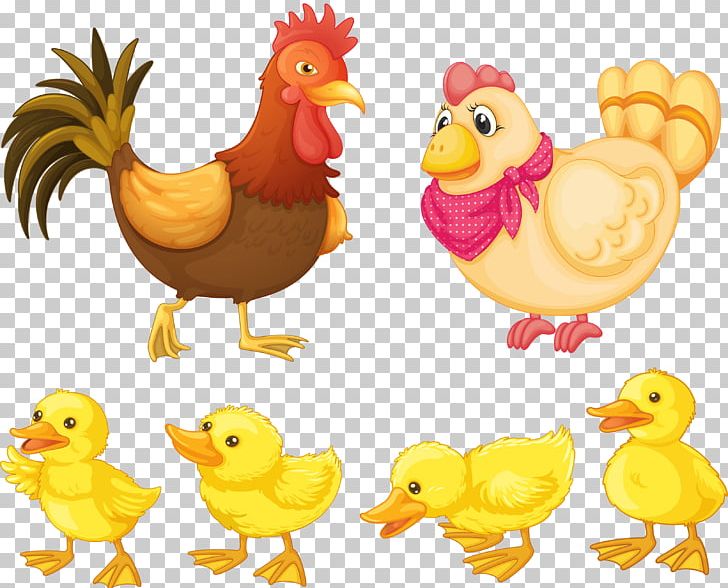 Chicken Rooster PNG, Clipart, Animals, Baby, Baby Announcement Card, Baby Clothes, Big Cock Free PNG Download