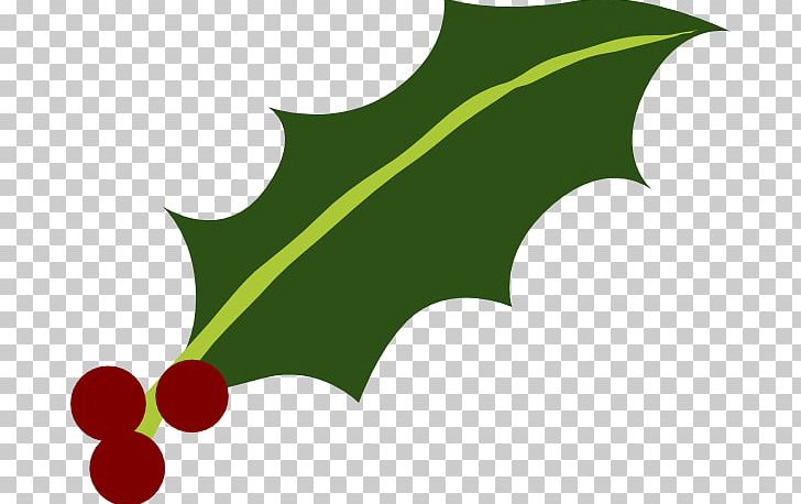 Common Holly Frutti Di Bosco Leaf PNG, Clipart, Cartoon, Cartoon Holly Leaves, Christmas, Common Holly, Computer Wallpaper Free PNG Download