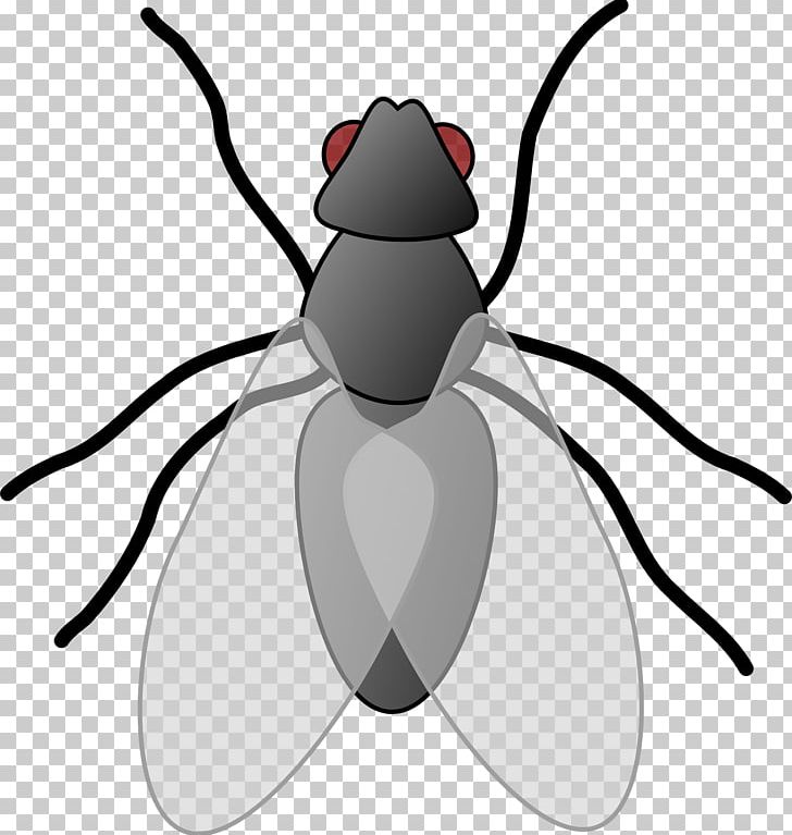 Fly PNG, Clipart, Artwork, Beetle, Black And White, Blog, Computer Icons Free PNG Download