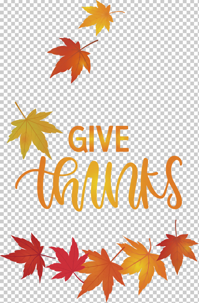 Thanksgiving Be Thankful Give Thanks PNG, Clipart, Be Thankful, Biology, Flower, Give Thanks, Leaf Free PNG Download