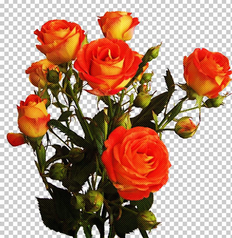Garden Roses PNG, Clipart, Artificial Flower, Bouquet, Bud, Cut Flowers, Floral Design Free PNG Download
