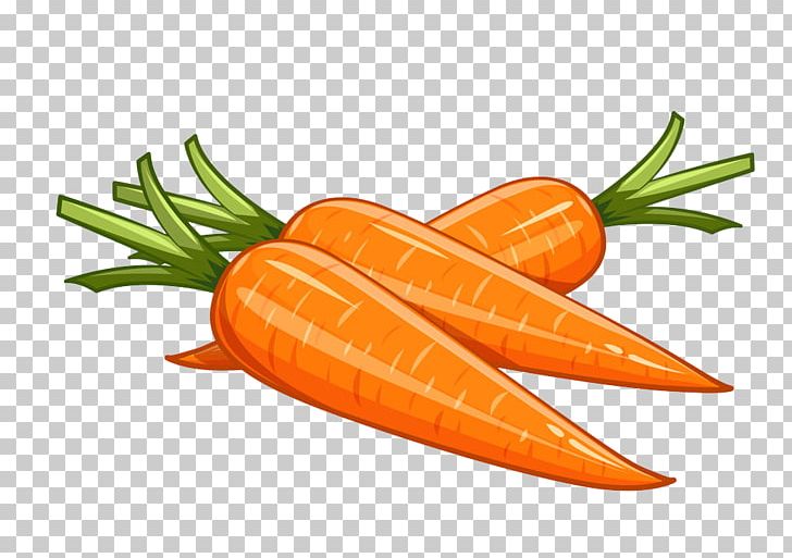 Carrot Euclidean Vegetable Illustration PNG, Clipart, Daucus Carota, Depositphotos, Diet Food, Drawing, Food Free PNG Download