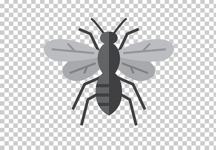 Insect Mosquito Pest Control Ant PNG, Clipart, Animals, Ant, Arthropod, Bed Bug, Bedbug Free PNG Download