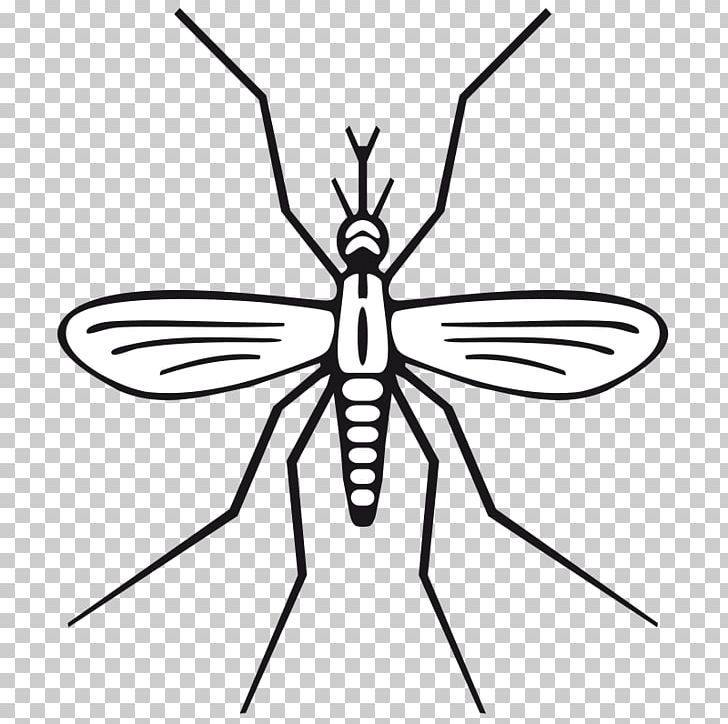 Mosquito PNG, Clipart, Aedes Albopictus, Animation, Arthropod, Artwork, Black And White Free PNG Download