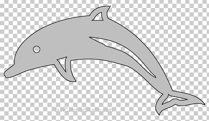 Common Bottlenose Dolphin Tucuxi Rough-toothed Dolphin Short-beaked Common Dolphin White-beaked Dolphin PNG, Clipart, Animal, Animals, Automotive Design, Bottlenose Dolphin, Color Free PNG Download