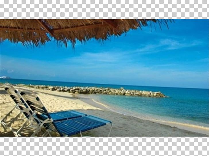 Flamingo Beach Resort Отель Flamingo Beach Resort By Diamond Resorts Shore Hotel PNG, Clipart, Bay, Beach, Caribbean, Coast, Coastal And Oceanic Landforms Free PNG Download