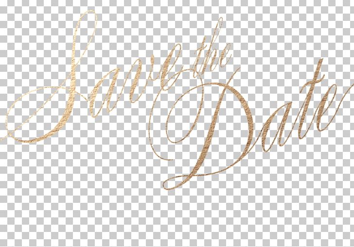 Logo Brand Font PNG, Clipart, Brand, Calligraphy, Logo, Text Free PNG Download