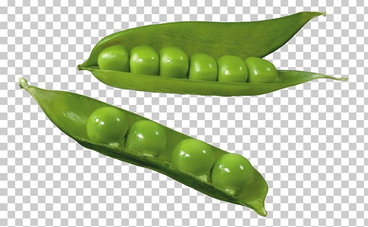 Split Pea Silique Common Bean PNG, Clipart, Bean, Commodity, Food, Fruit, Green Free PNG Download