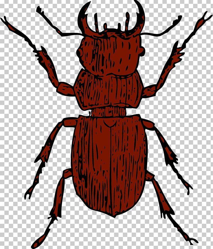Stag Beetle Deer PNG, Clipart, Animals, Arthropod, Artwork, Beetle, Computer Icons Free PNG Download