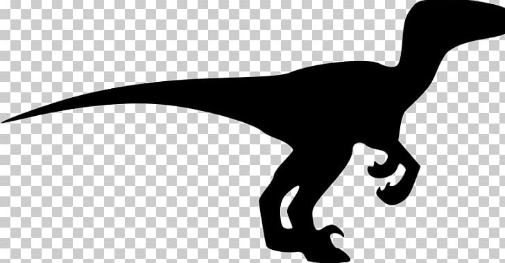 Velociraptor Drawing Dinosaur Silhouette PNG, Clipart, Art, Beak, Bird, Black And White, Cartoon Free PNG Download