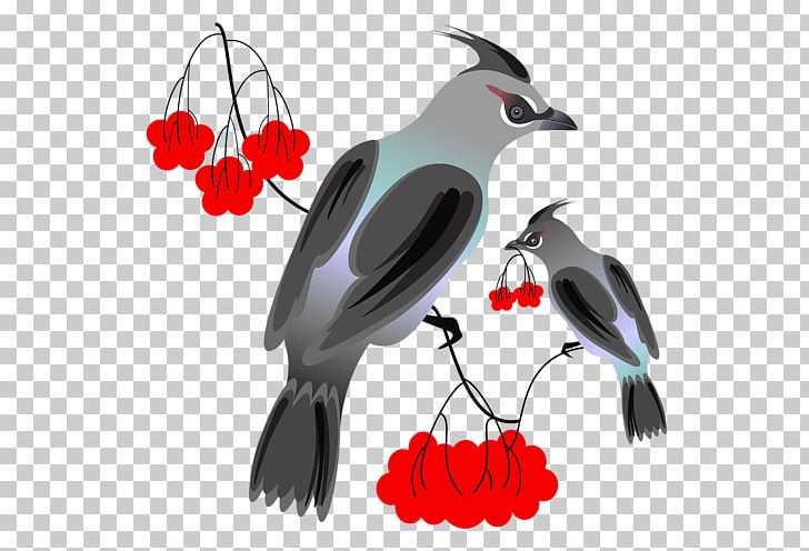 Bird Watercolor Painting Photography PNG, Clipart, Animal, Animals, Beak, Bird, Black And White Free PNG Download