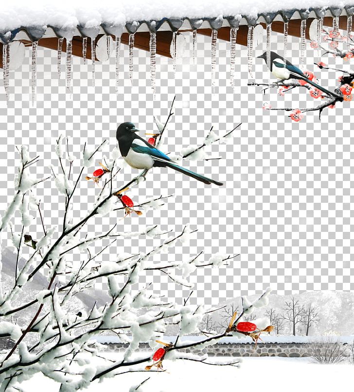Daxue Lidong Xiaoxue Xiaohan Dongzhi PNG, Clipart, Beak, Bird, Birds, Branch, Branches Free PNG Download
