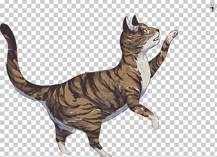 Tabby Cat Tail KitNipBox Quiz PNG, Clipart, Carnivoran, Cat, Cat Flea, Cat Like Mammal, Dinosaur Free PNG Download