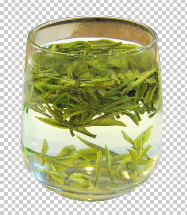 White Tea Green Tea Oolong Longjing Tea PNG, Clipart, Bai Mudan, Bancha, Bilu, Chinese Tea, Drinking Free PNG Download
