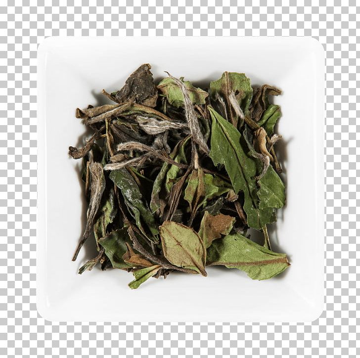 Bai Mudan Nilgiri Tea White Tea Tin Box PNG, Clipart, Assam Tea, Bai Mudan, Bancha, Biluochun, Box Free PNG Download