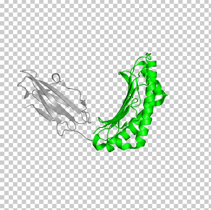 Leaf Shoe PNG, Clipart, Alpha, Animal, Area, Art, Div Free PNG Download