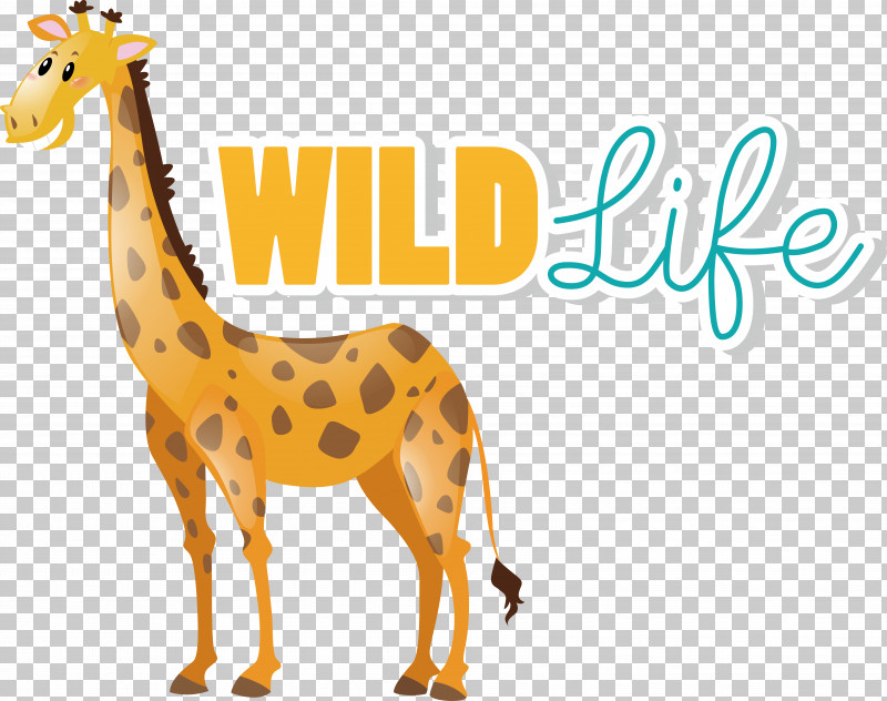 Giraffe Wildlife Pattern Tail Animal Figurine PNG, Clipart, Animal Figurine, Biology, Giraffe, Giraffids, Meter Free PNG Download