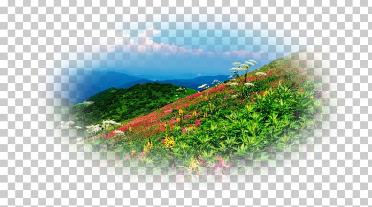 Desktop Hill Station Vegetation Computer PNG, Clipart, Computer, Computer Wallpaper, Desktop Wallpaper, Grass, Hill Free PNG Download