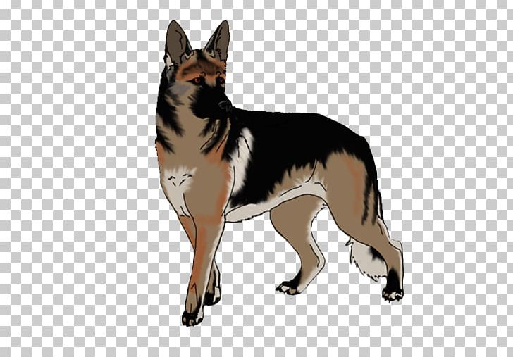 Dog Breed German Shepherd Tail PNG, Clipart, Breed, Carnivoran, Dog, Dog Breed, Dog Breed Group Free PNG Download