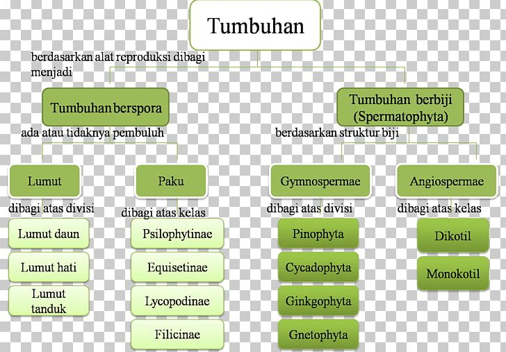 Seed Plants Concept Map Medicinal Plants Burknar PNG, Clipart, Angle, Aquatic Plants, Area, Article, Brand Free PNG Download